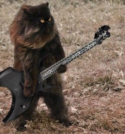 metalcat.jpg