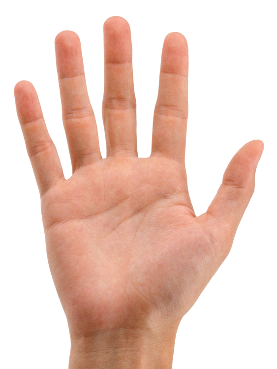 hands_PNG905.png